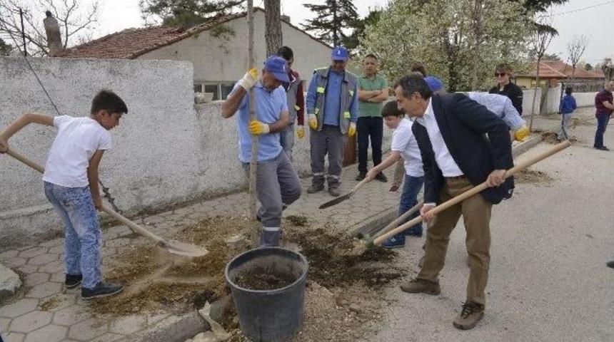 Tepebaşı Belediyesi Yeşil Ve Spor Alanlarını Oluşturmaya Devam Ediyor