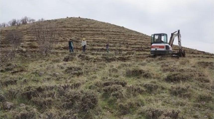 Arguvan&rsquo;da 250 Kilometrelik Alan Ağa&ccedil;landırılıyor