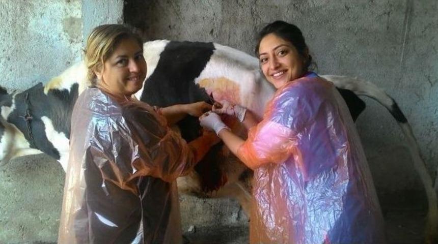 Marifetli Bayanlar G&ouml;renleri Şaşırttı