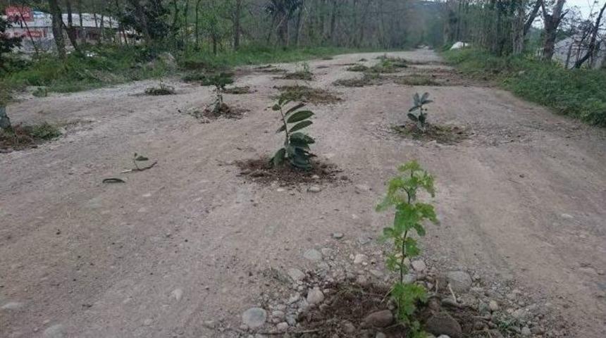 Rize&rsquo;de İlgin&ccedil; Yol Protestosu