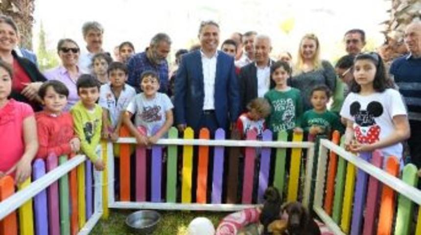 Muratpaşa Belediyesi, 13 K&ouml;pek Ve 5 Kediyi Sahiplendirdi