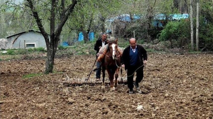 Sınırın Sıfır Noktasında İlkel Y&ouml;ntemlerle Tarım