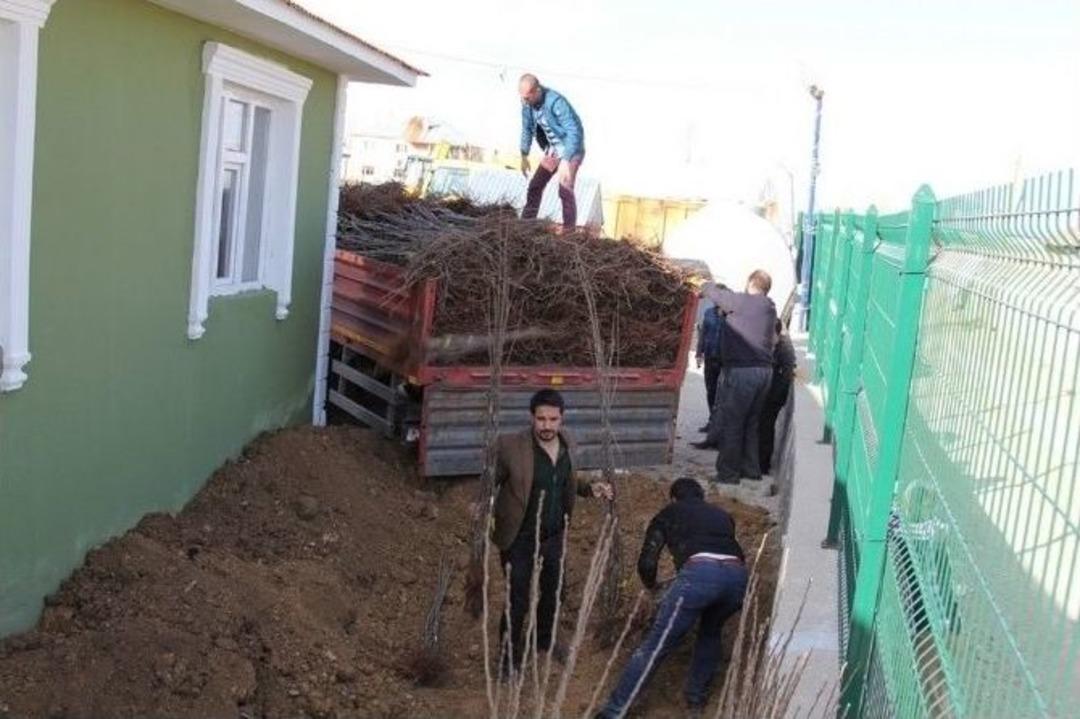 Başkale&rsquo;de &lsquo;her Evin &Ouml;n&uuml;nde Bir Meyve Fidanı Olsun&rsquo; Projesi