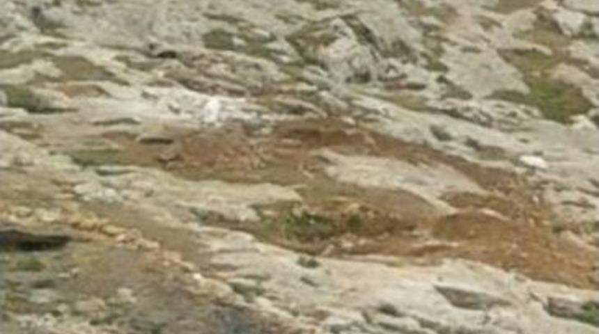 Adıyaman&rsquo;da Defineciler Su&ccedil;&uuml;st&uuml; Yakalandı