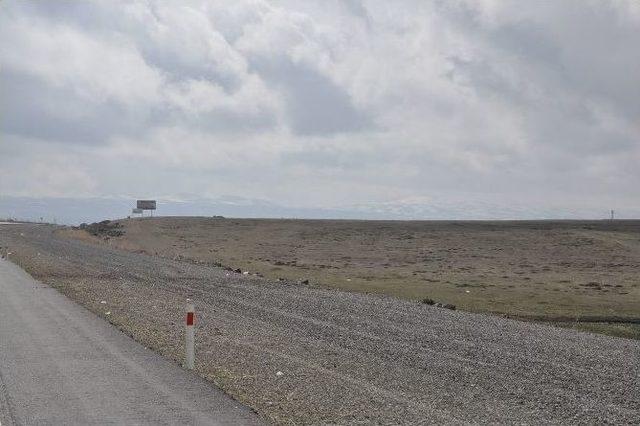 Kars Mezre Yolu Çile Dolu