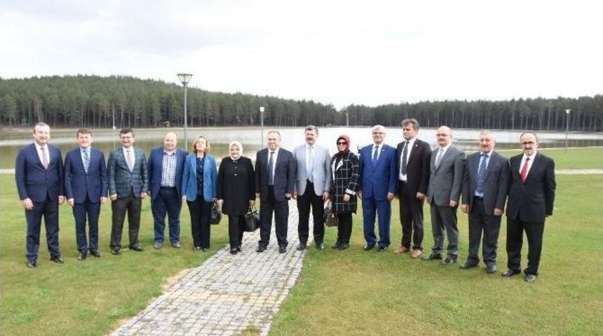 Belediyelerin Kadınlara Y&ouml;nelik Hizmetleri