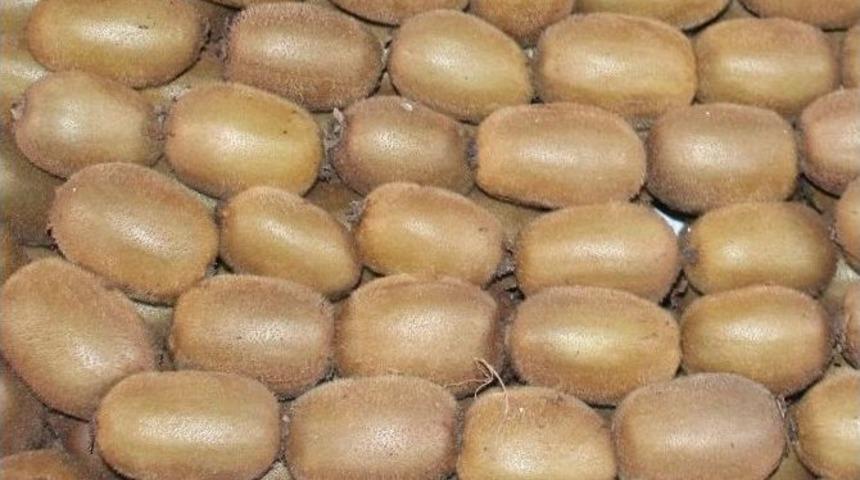 Uzunlar: "yaşanan &rsquo;zirai Don&rsquo; Rekolteyi Etkilemez"