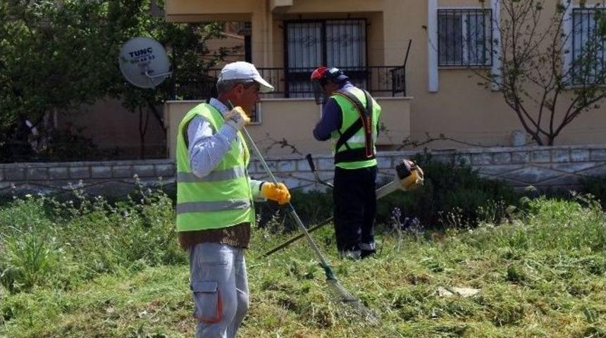 Didim&rsquo;de Yabani Ot Temizliği Başladı