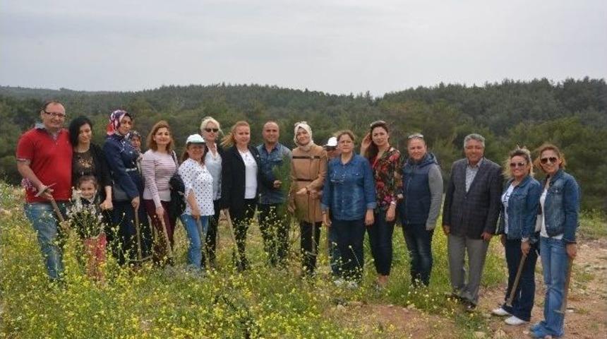 Torbalı’da Ağaç Seferberliği
