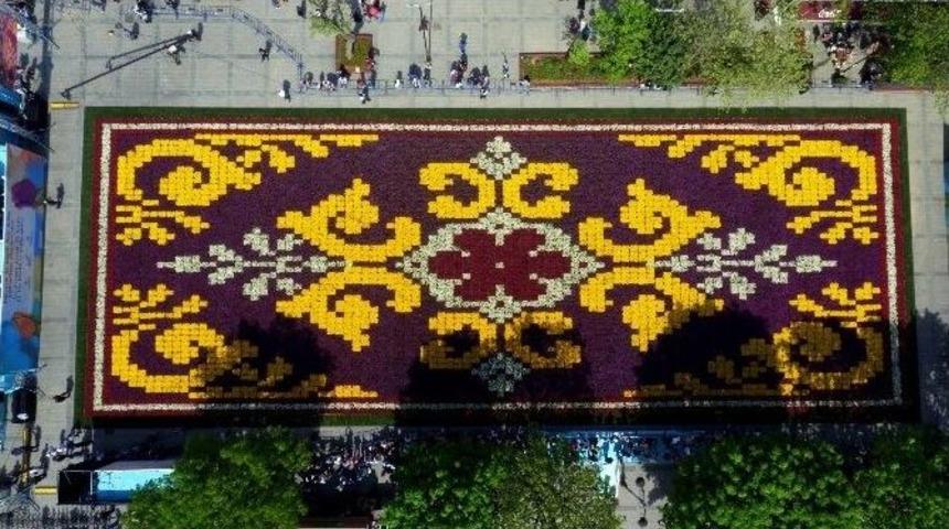 Dev Lale Halısı Havadan G&ouml;r&uuml;nt&uuml;lendi