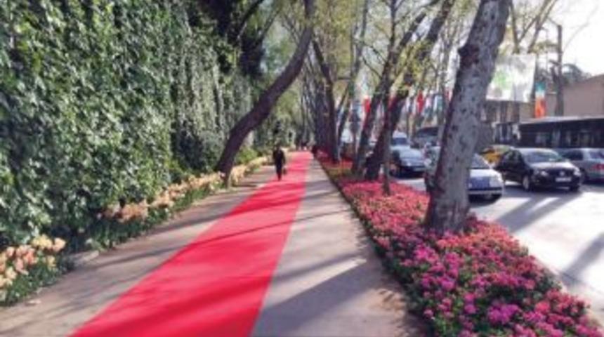 Beşiktaş Belediyesi, Taraftarın Yoluna Kırmızı Halı Serdi