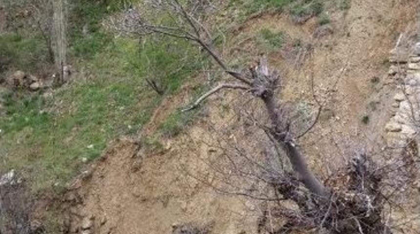 Kamyonet Dereye U&ccedil;tu: 6 Yaralı