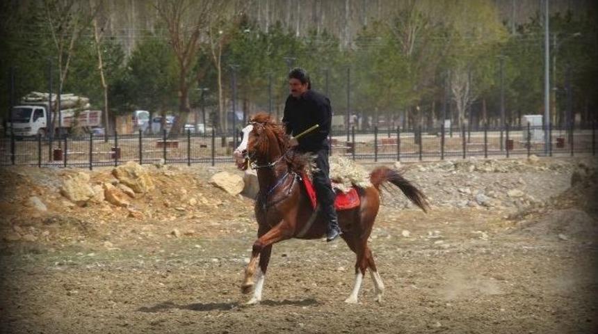 Cirit Eski G&uuml;nlerine Geri D&ouml;n&uuml;yor