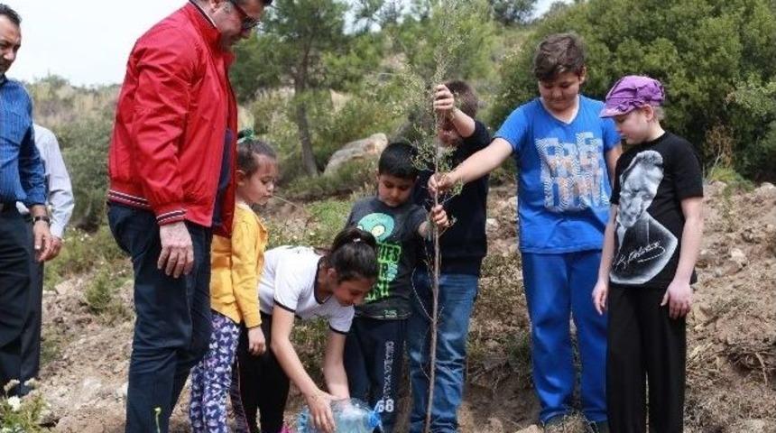 Bodrum&rsquo;da Yeşile Duyarlılık Etkinliği