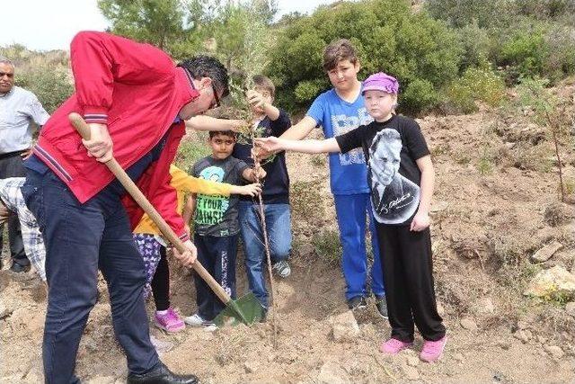 Bodrum’da Yeşile Duyarlılık Etkinliği