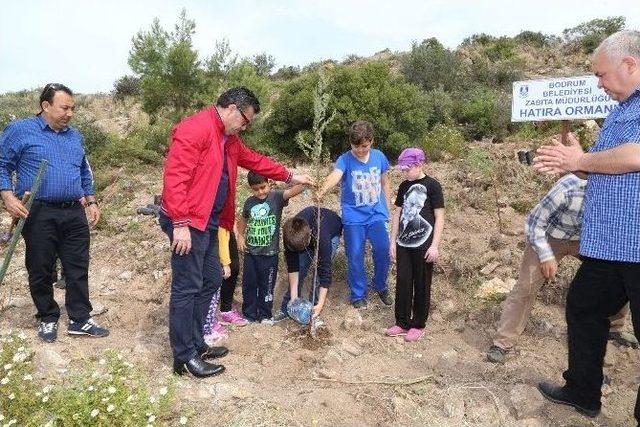 Bodrum’da Yeşile Duyarlılık Etkinliği