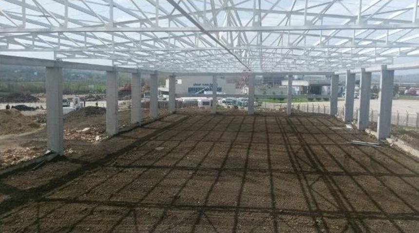 2017 Sinop&rsquo;un Yılı Olacak