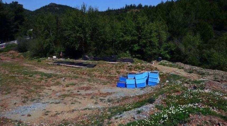 &Ccedil;alınan Arı Kovanları Bulundu