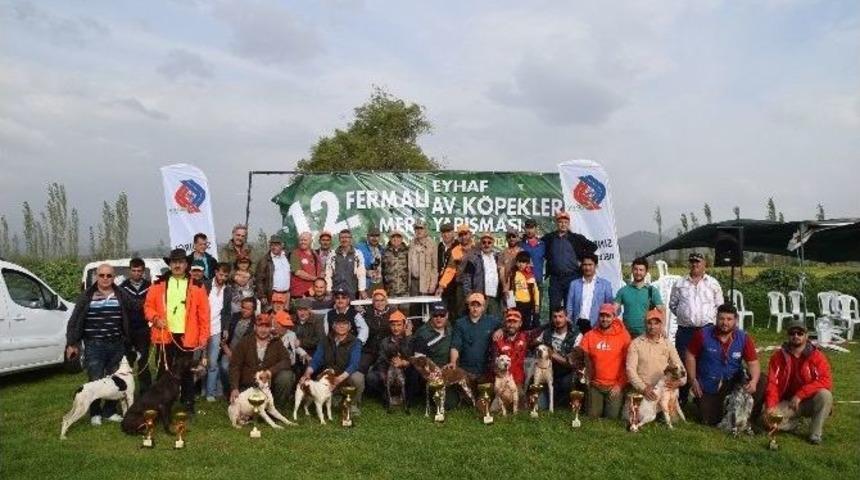 Balıkesir&rsquo;de Av K&ouml;pekleri Yarıştı