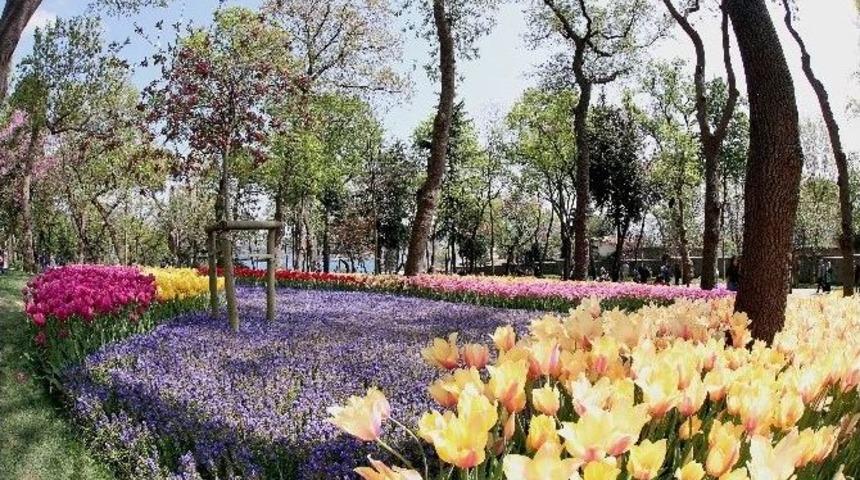 Laleler İstanbul&rsquo;u Bir Kez Daha Fethetti