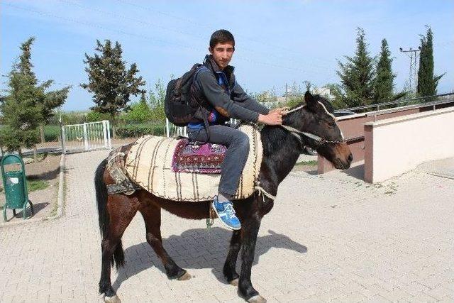 Adıyamanlı Öğrenci Teog Kursuna ’at’la Gidiyor