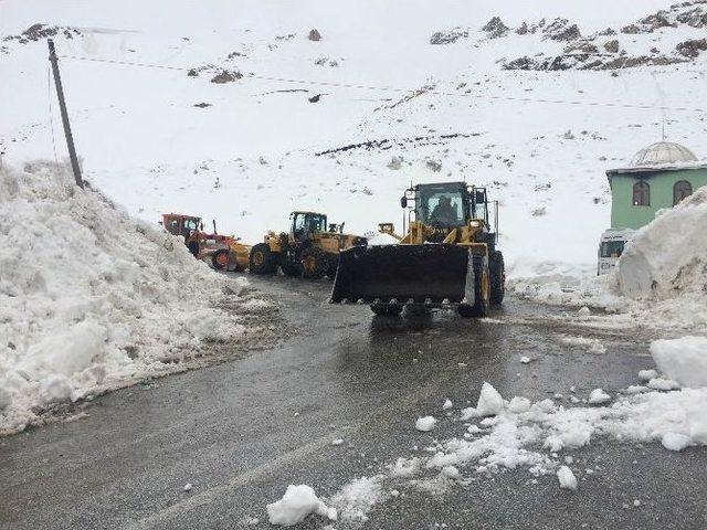 Van-bahçesaray Yoluna Çığ Düştü