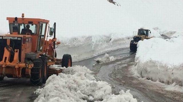 Van-bahçesaray Yoluna Çığ Düştü