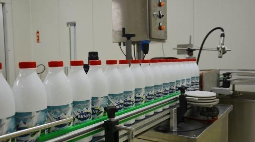 Besaş&rsquo;ın Yeni &Uuml;r&uuml;n&uuml;; G&uuml;nl&uuml;k S&uuml;t