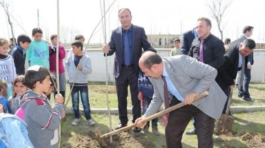 Bulanık’ta On Bin Fidan Dağıtıldı