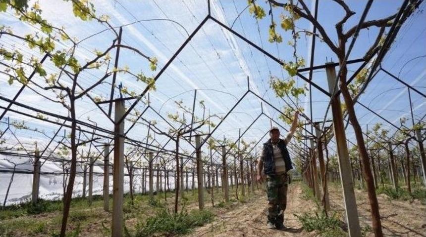 Dolu Savar Sistemi Gelişiyor