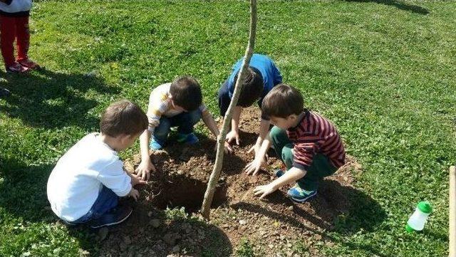 Kartepe Bilgi Evi Öğrencilerinden Hukukçulara Ziyaret