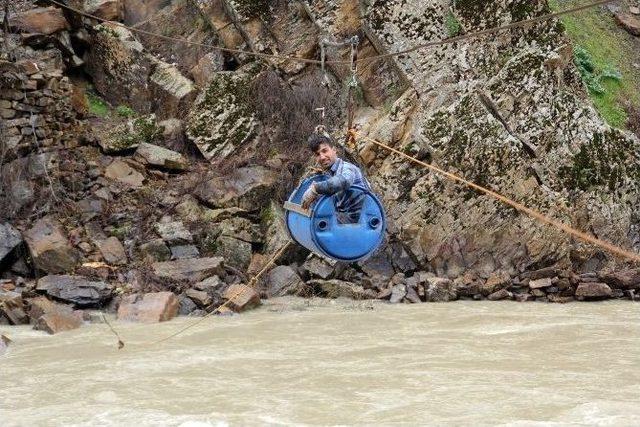 Ölümüne Pancar Yolculuğu