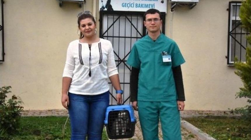 Bir Can Daha Yeni Yuvasına Kavuştu