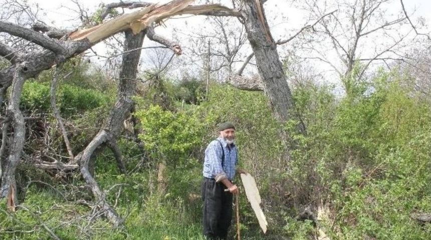 Yaşlı Adamın Bağevine Yıldırım D&uuml;şt&uuml;