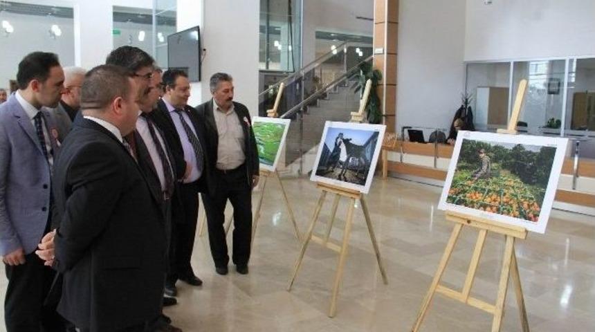 Sivas&rsquo;ta &rsquo;tarım Ve İnsan&rsquo; Adlı Fotoğraf Sergisi A&ccedil;ıldı