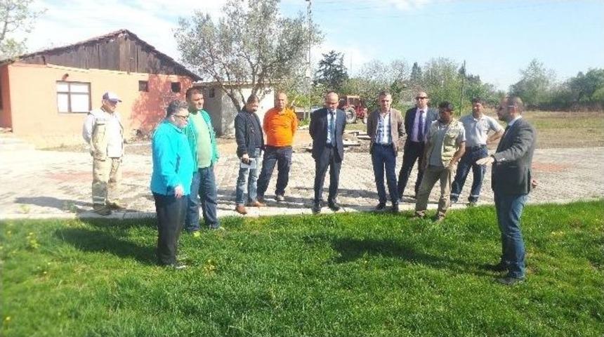 Hersek Er Meydanı&rsquo;nda Hummalı &Ccedil;alışma