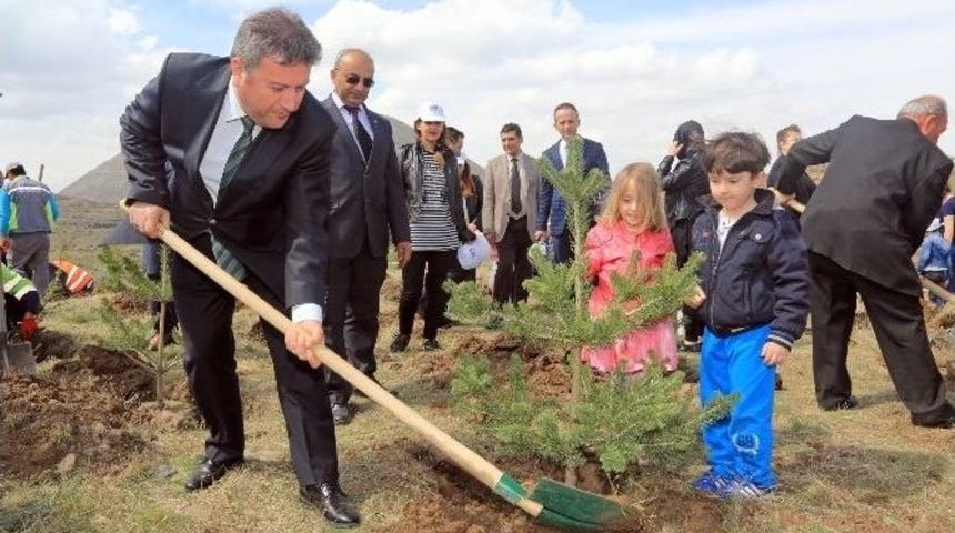 Talas&rsquo;ın Fidanları Yarınları İ&ccedil;in Fidan Dikti