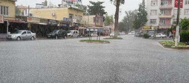 Mersin’de Dolu Yağışı Bu Defa Sevindirdi