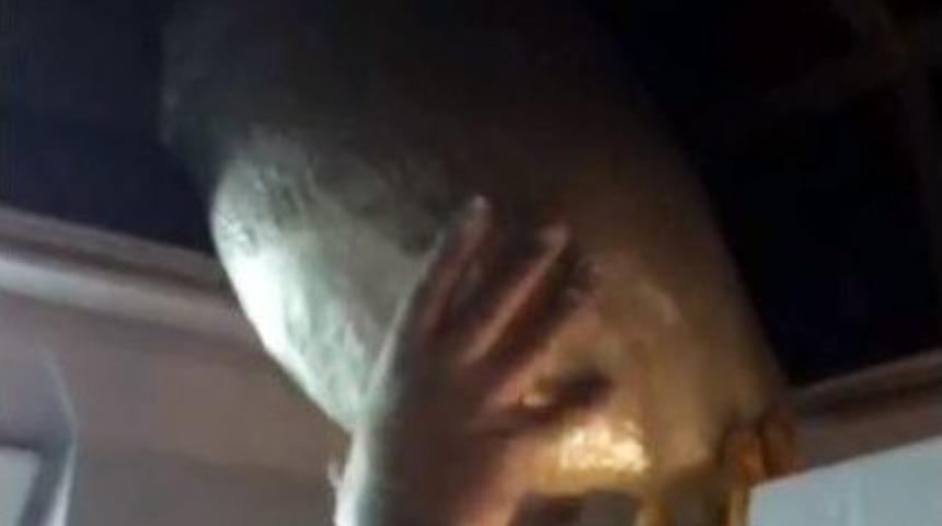 Siirt-ankara Treninde 16 Kilo Esrar Ele Ge&ccedil;irildi