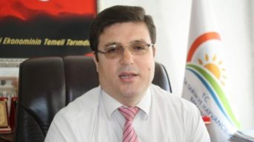 K&ouml;yden Kente G&ouml;&ccedil;&uuml; Azaltması Beklenen Proje