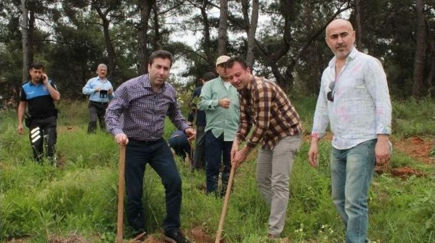 Polis Hatıra Ormanı