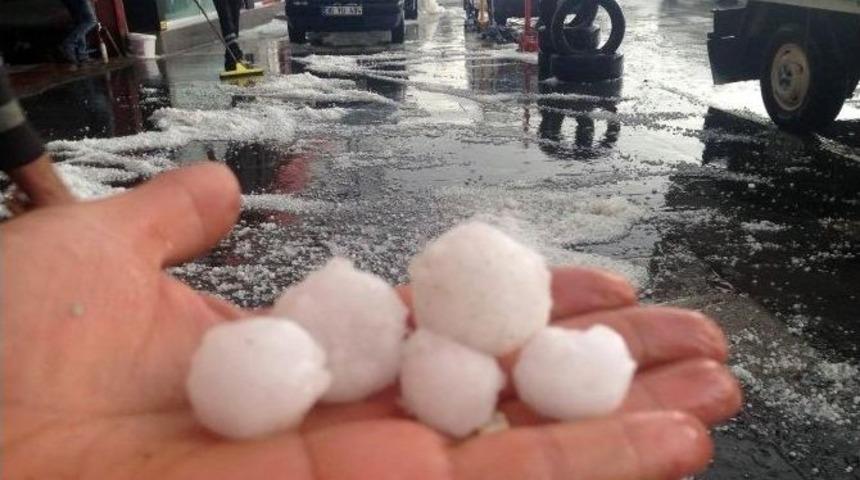 Batman&rsquo;da Ceviz B&uuml;y&uuml;kl&uuml;ğ&uuml;ndeki Dolu Hayatı Durma Noktasına Getirdi