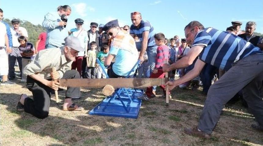 Bodrum&rsquo;da Pedasa Festivali Başlıyor