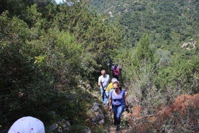 Bodrum’da Pedasa Festivali Başlıyor