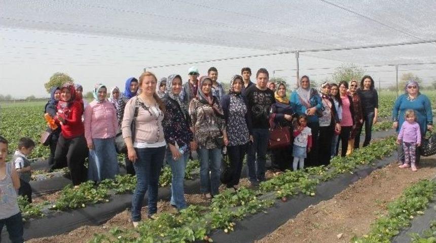 D&uuml;zi&ccedil;i&rsquo;nde Kaymakamlık &Ccedil;ileği Projesi