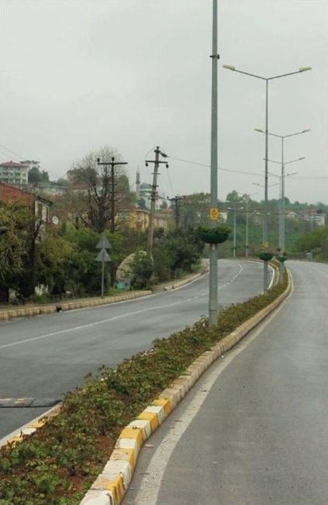 Aydınlanma Direkleri Sardunya Çiçekleriyle Süslendi