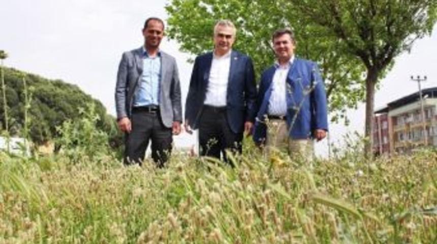 Ak Parti&rsquo;li Vekil Ve Başkandan &Ccedil;ifte Standart İddiası