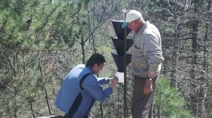 Vezirk&ouml;pr&uuml; Ormanları Tuzaklandı