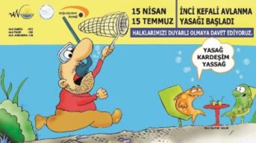 İnci Kefali Balığı Avlanma Yasağı Başlıyor