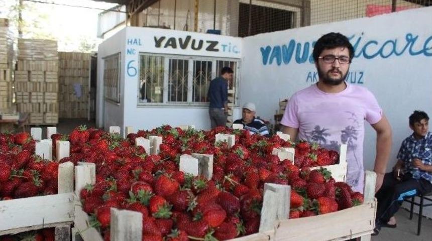 &Ccedil;ileğin Tadı Ka&ccedil;maya Başladı